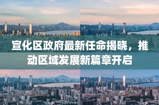 宣化區(qū)政府最新任命揭曉，推動區(qū)域發(fā)展新篇章開啟