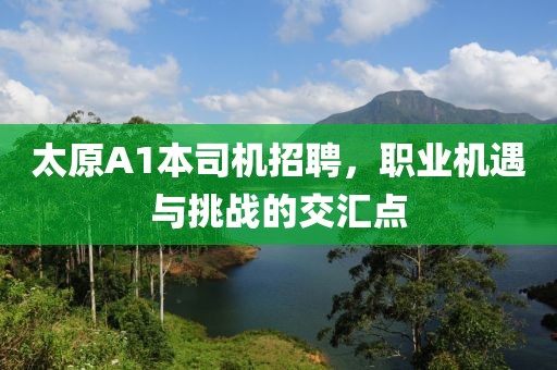 太原A1本司機(jī)招聘，職業(yè)機(jī)遇與挑戰(zhàn)的交匯點(diǎn)