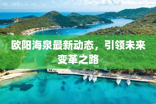 歐陽海泉最新動態(tài)，引領(lǐng)未來變革之路