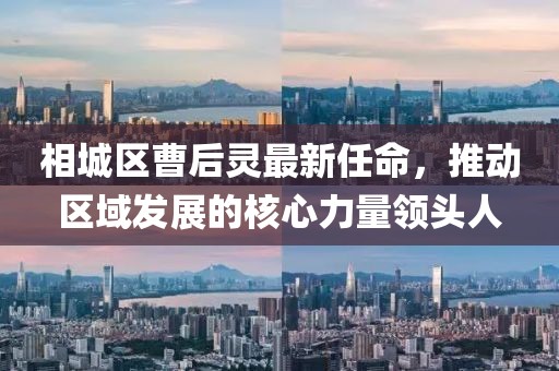 相城區(qū)曹后靈最新任命，推動(dòng)區(qū)域發(fā)展的核心力量領(lǐng)頭人