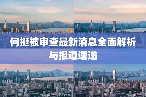 何挺被審查最新消息全面解析與報(bào)道速遞