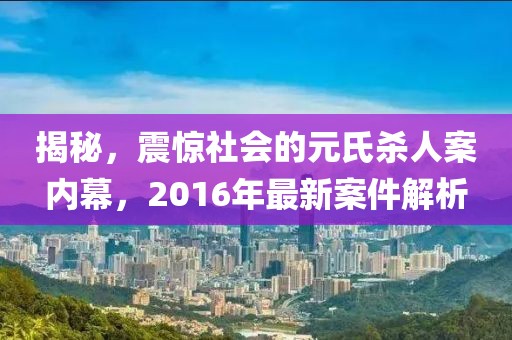 揭秘，震驚社會(huì)的元氏殺人案內(nèi)幕，2016年最新案件解析