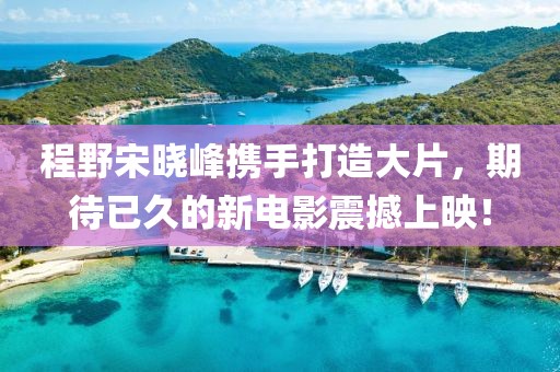 程野宋曉峰攜手打造大片，期待已久的新電影震撼上映！