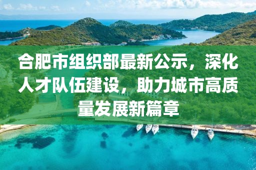 合肥市組織部最新公示，深化人才隊(duì)伍建設(shè)，助力城市高質(zhì)量發(fā)展新篇章