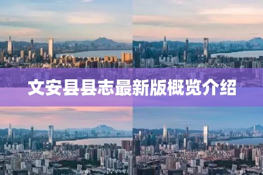 文安縣縣志最新版概覽介紹