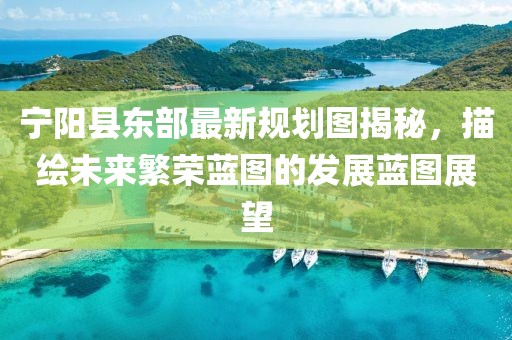寧陽縣東部最新規(guī)劃圖揭秘，描繪未來繁榮藍圖的發(fā)展藍圖展望