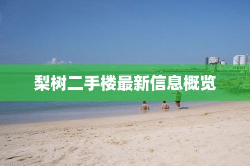 梨樹(shù)二手樓最新信息概覽