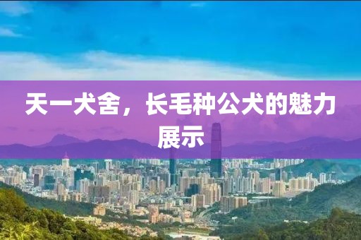 天一犬舍，長(zhǎng)毛種公犬的魅力展示