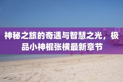神秘之旅的奇遇與智慧之光，極品小神棍張橫最新章節(jié)