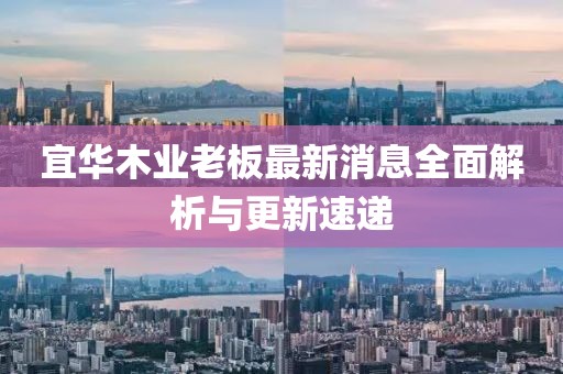 宜華木業(yè)老板最新消息全面解析與更新速遞
