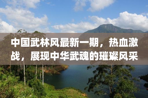 中國武林風(fēng)最新一期，熱血激戰(zhàn)，展現(xiàn)中華武魂的璀璨風(fēng)采