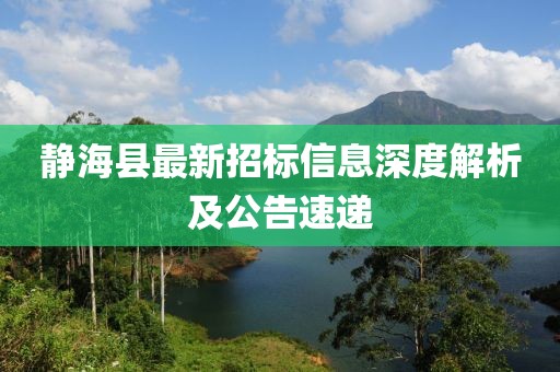 靜海縣最新招標(biāo)信息深度解析及公告速遞