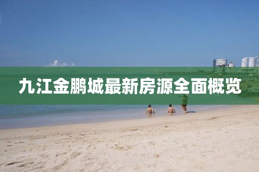 2025年2月9日 第12頁(yè)