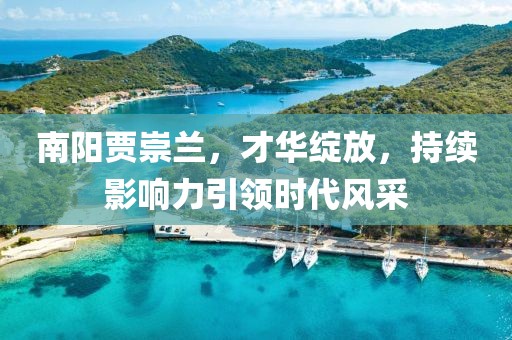 南陽賈崇蘭，才華綻放，持續(xù)影響力引領(lǐng)時代風采