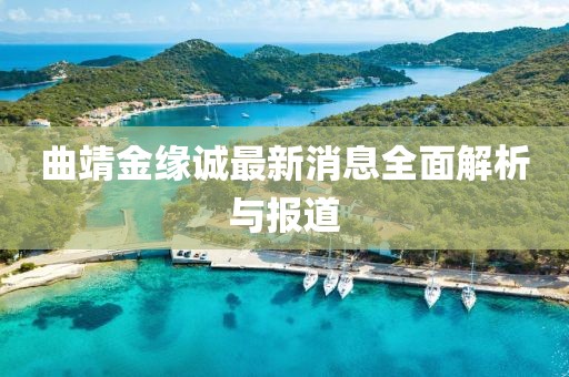 曲靖金緣誠最新消息全面解析與報道