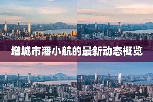 增城市潘小航的最新動(dòng)態(tài)概覽