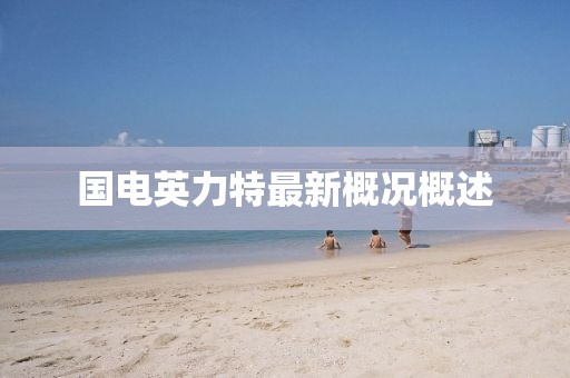 國電英力特最新概況概述