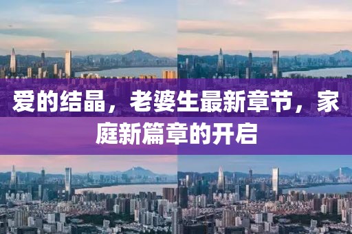 愛(ài)的結(jié)晶，老婆生最新章節(jié)，家庭新篇章的開(kāi)啟