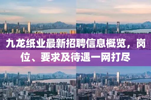 九龍紙業(yè)最新招聘信息概覽，崗位、要求及待遇一網(wǎng)打盡