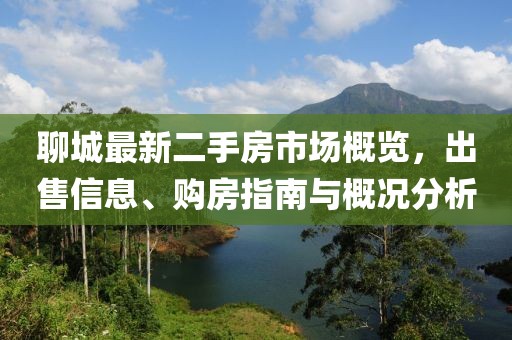 聊城最新二手房市場(chǎng)概覽，出售信息、購(gòu)房指南與概況分析