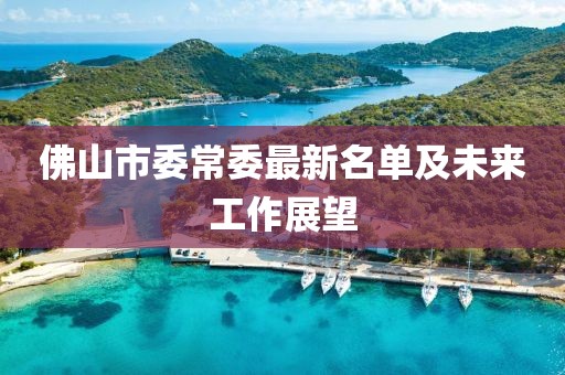 佛山市委常委最新名單及未來(lái)工作展望