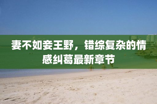 妻不如妾王野，錯綜復雜的情感糾葛最新章節(jié)