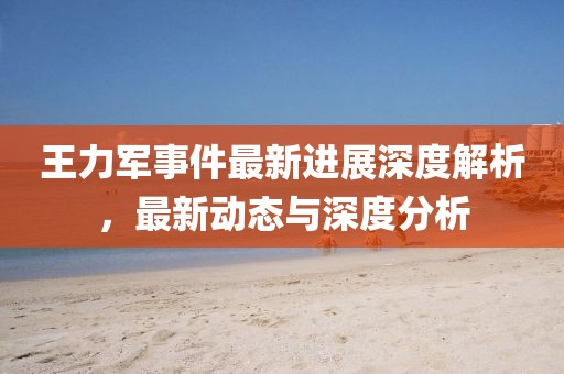 王力軍事件最新進(jìn)展深度解析，最新動態(tài)與深度分析