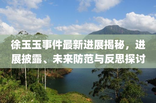 徐玉玉事件最新進(jìn)展揭秘，進(jìn)展披露、未來(lái)防范與反思探討