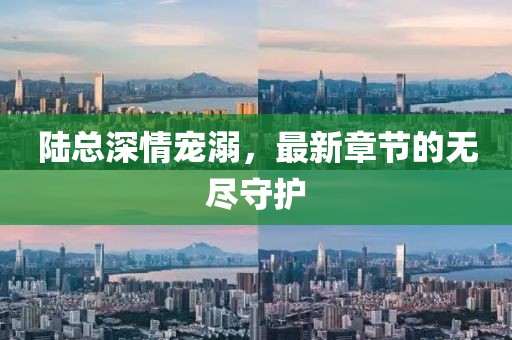 陸總深情寵溺，最新章節(jié)的無(wú)盡守護(hù)