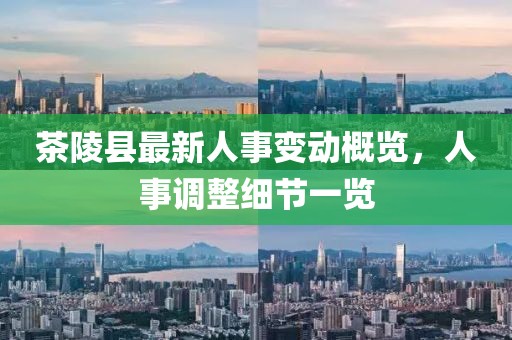 茶陵縣最新人事變動(dòng)概覽，人事調(diào)整細(xì)節(jié)一覽