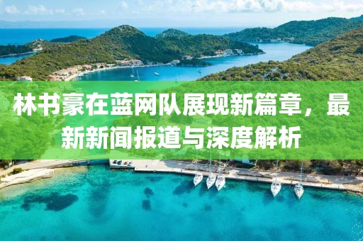 林書豪在藍(lán)網(wǎng)隊(duì)展現(xiàn)新篇章，最新新聞報(bào)道與深度解析