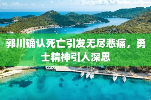 郭川確認(rèn)死亡引發(fā)無(wú)盡悲痛，勇士精神引人深思