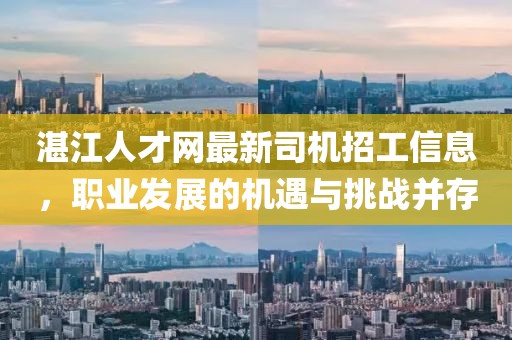 湛江人才網(wǎng)最新司機(jī)招工信息，職業(yè)發(fā)展的機(jī)遇與挑戰(zhàn)并存