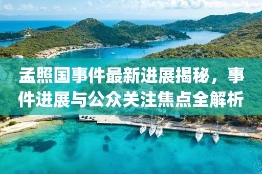 孟照國事件最新進展揭秘，事件進展與公眾關(guān)注焦點全解析