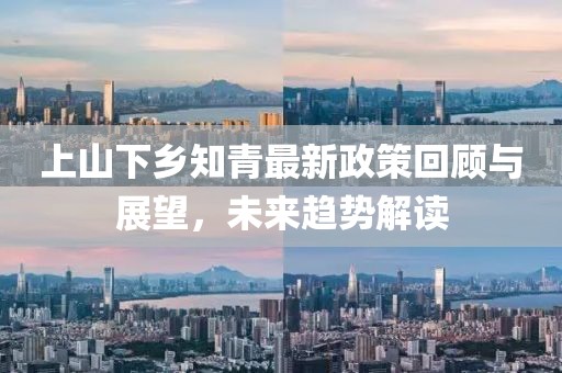 上山下鄉(xiāng)知青最新政策回顧與展望，未來趨勢解讀