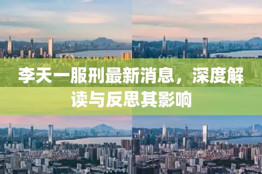 李天一服刑最新消息，深度解讀與反思其影響