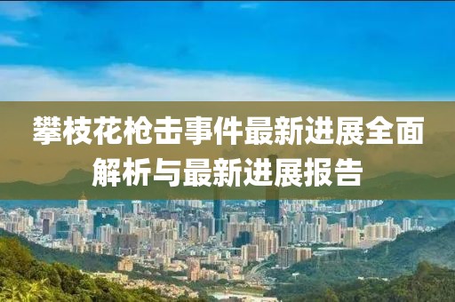 攀枝花槍擊事件最新進展全面解析與最新進展報告