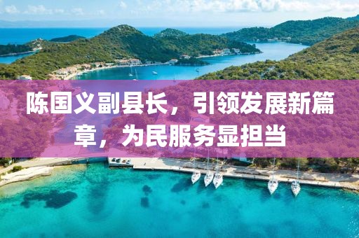 陳國義副縣長，引領(lǐng)發(fā)展新篇章，為民服務(wù)顯擔(dān)當(dāng)