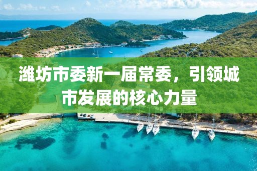 濰坊市委新一屆常委，引領(lǐng)城市發(fā)展的核心力量