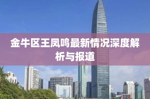 金牛區(qū)王鳳鳴最新情況深度解析與報(bào)道