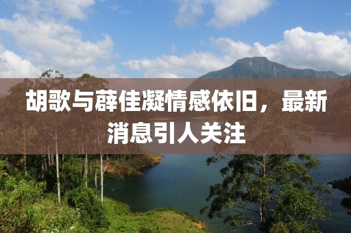 胡歌與薜佳凝情感依舊，最新消息引人關(guān)注