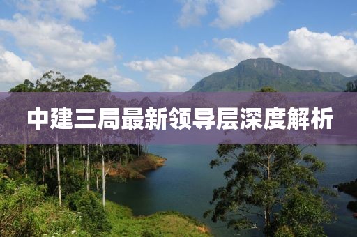中建三局最新領(lǐng)導(dǎo)層深度解析