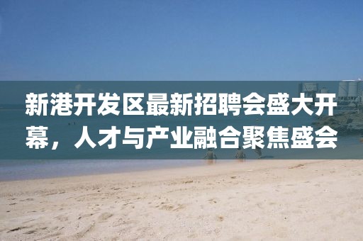 新港開(kāi)發(fā)區(qū)最新招聘會(huì)盛大開(kāi)幕，人才與產(chǎn)業(yè)融合聚焦盛會(huì)