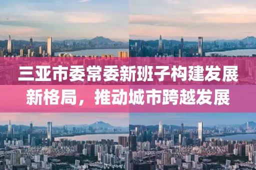 三亞市委常委新班子構(gòu)建發(fā)展新格局，推動城市跨越發(fā)展