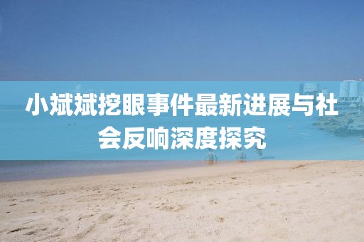小斌斌挖眼事件最新進展與社會反響深度探究