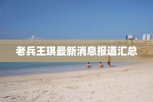 老兵王琪最新消息報道匯總
