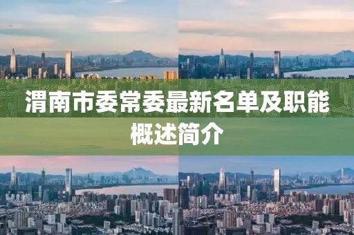 渭南市委常委最新名單及職能概述簡(jiǎn)介