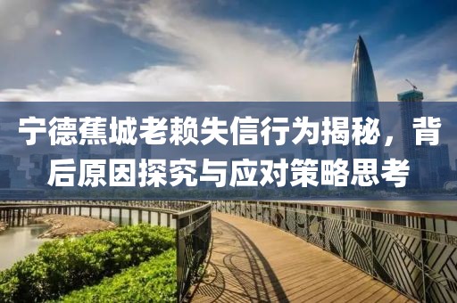 寧德蕉城老賴失信行為揭秘，背后原因探究與應(yīng)對(duì)策略思考