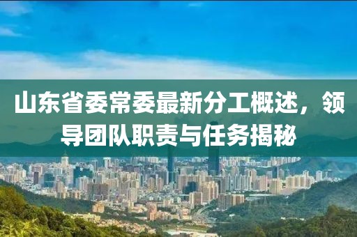 山東省委常委最新分工概述，領(lǐng)導(dǎo)團(tuán)隊(duì)職責(zé)與任務(wù)揭秘