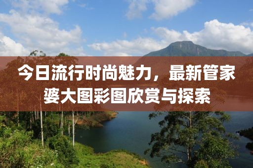 今日流行時尚魅力，最新管家婆大圖彩圖欣賞與探索